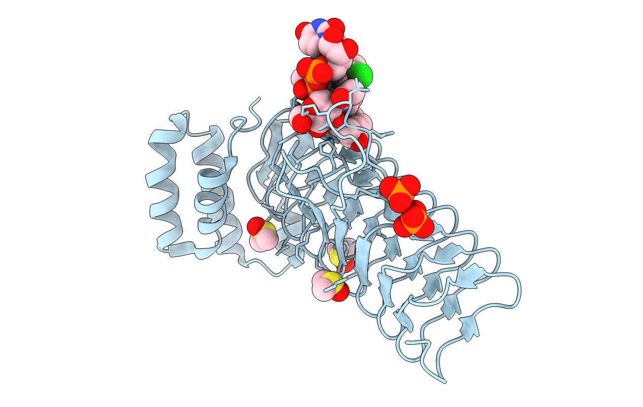 6P9T image