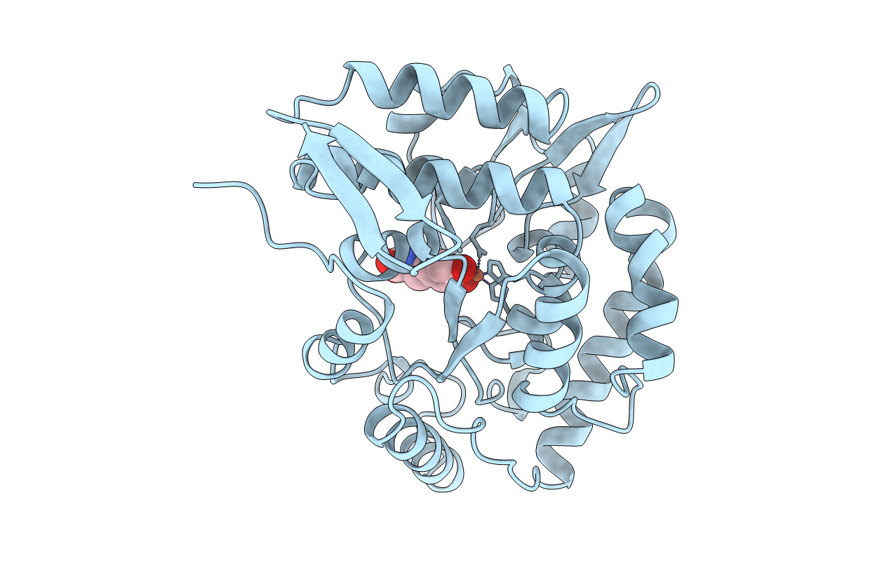 6PAH image