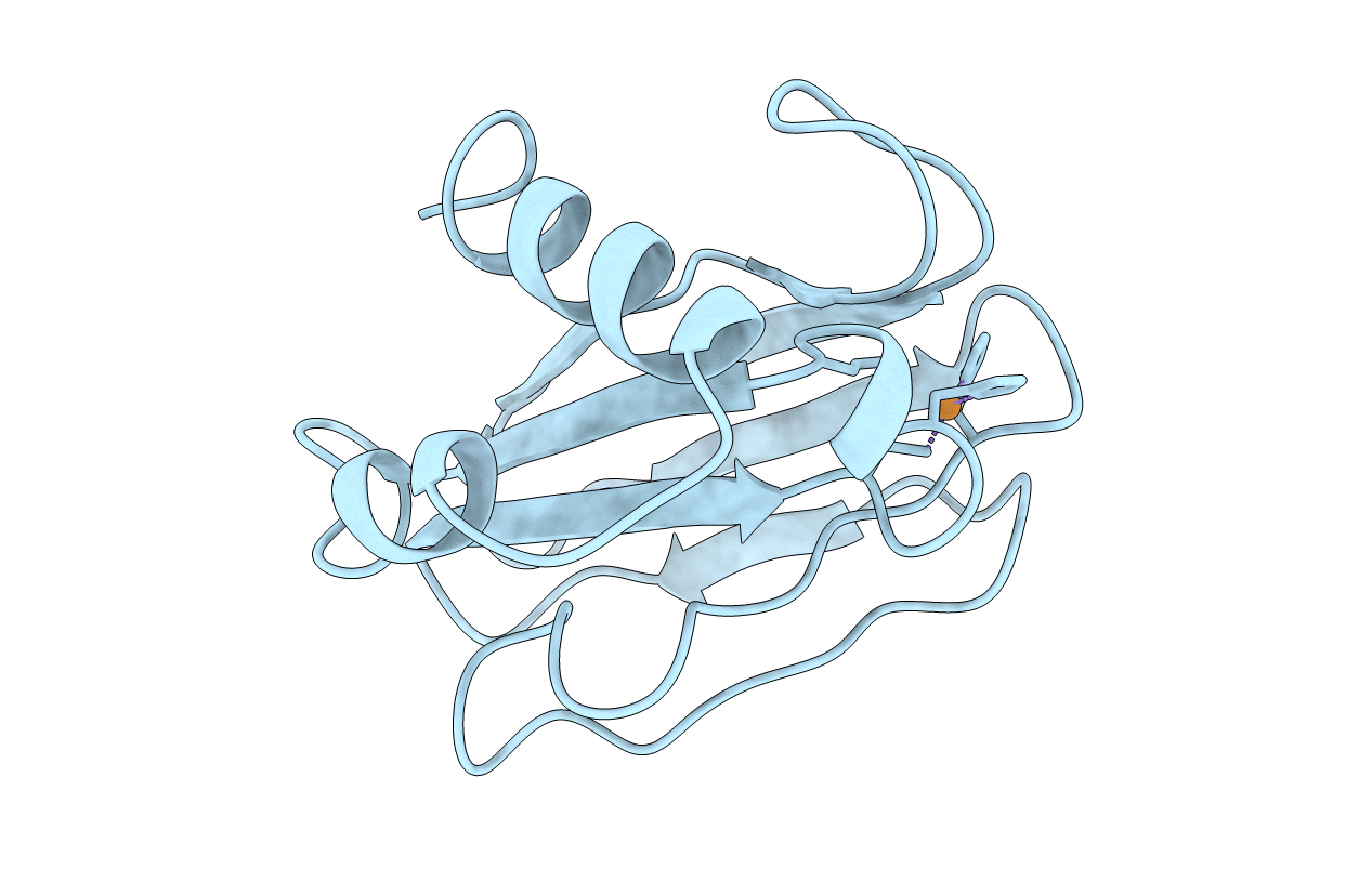 6PAZ image