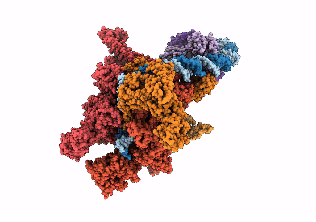 6PB4 image