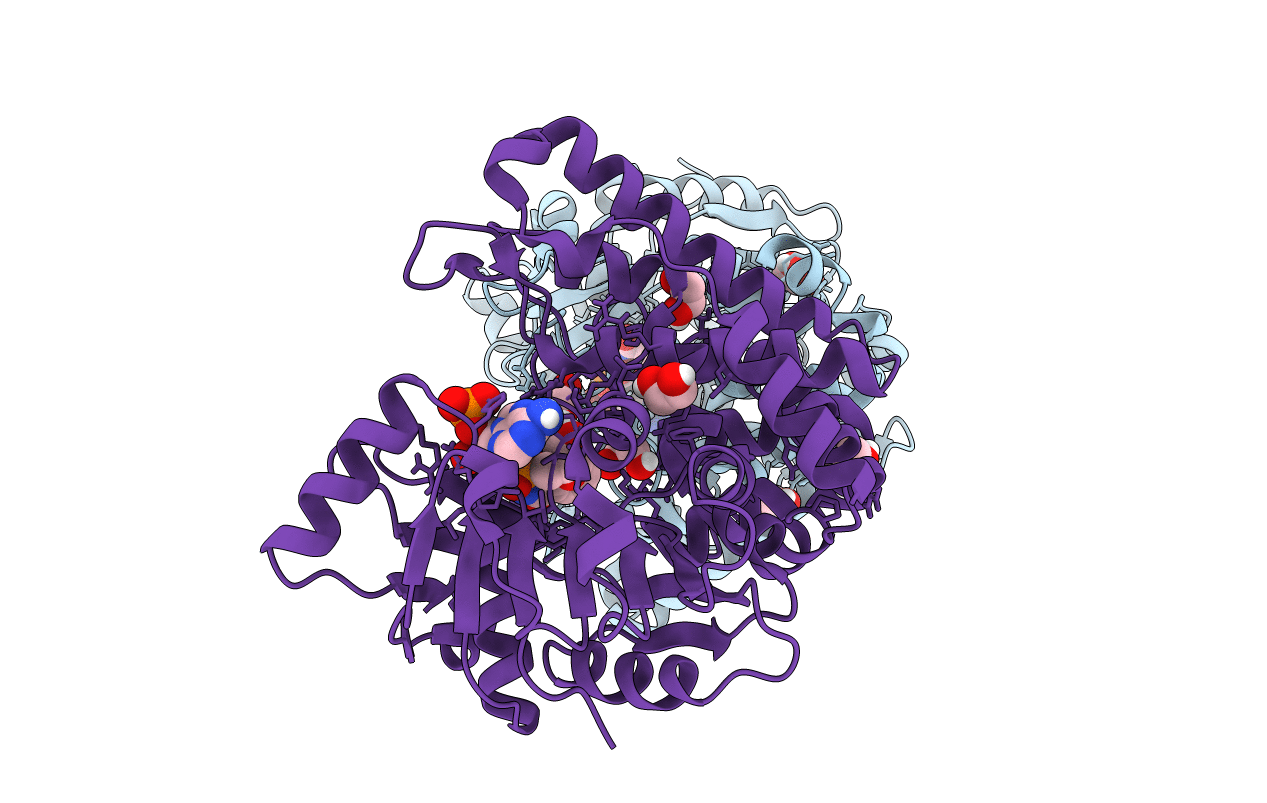 6PBM image