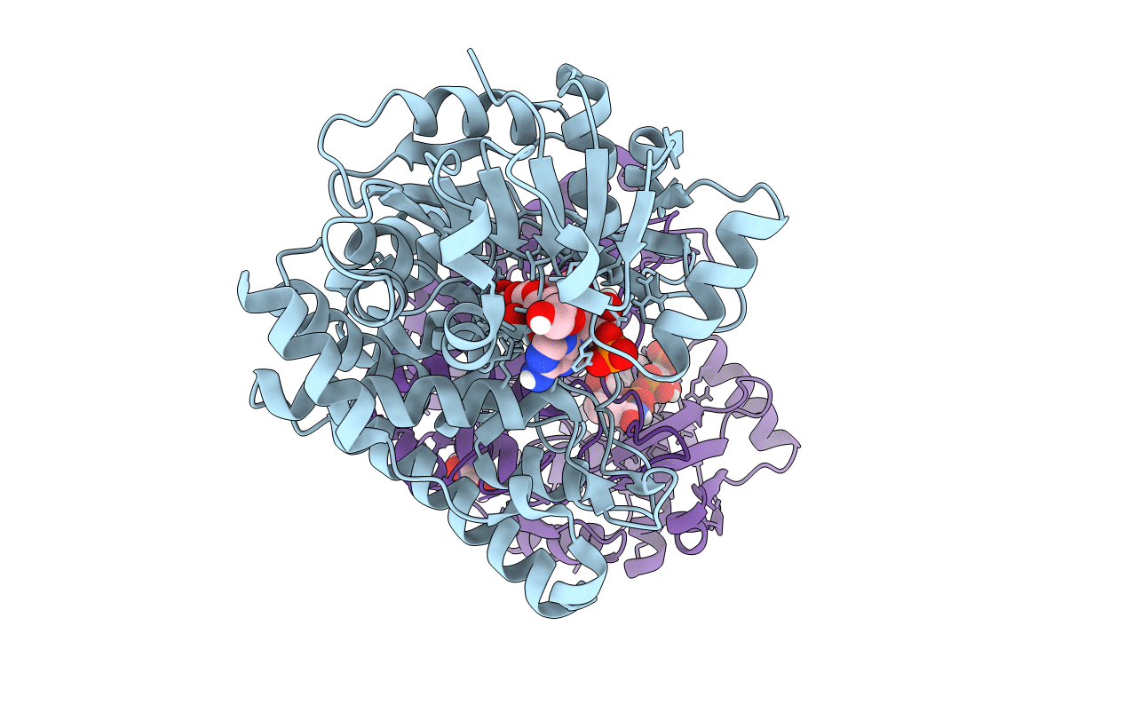 6PBT image
