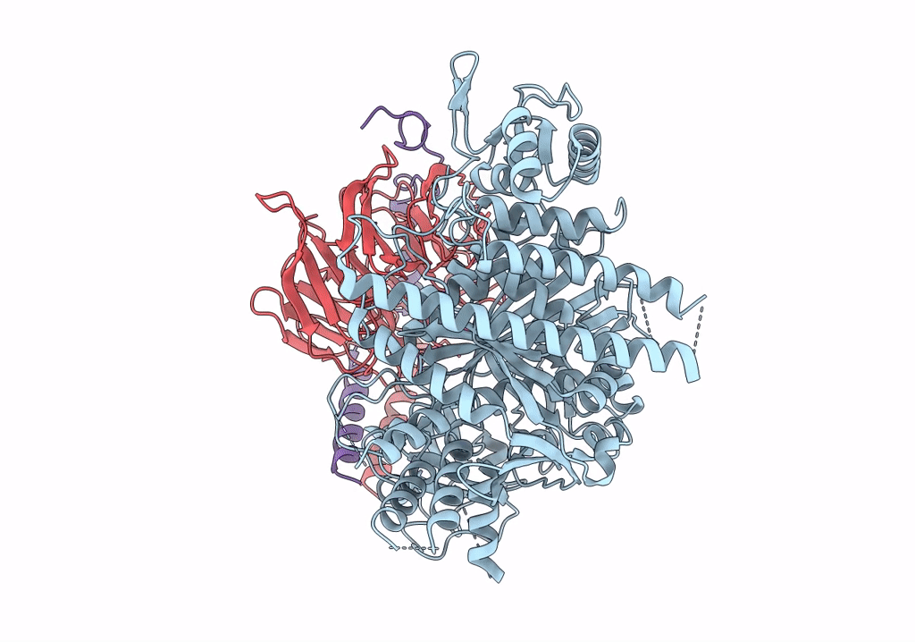 6PCV image