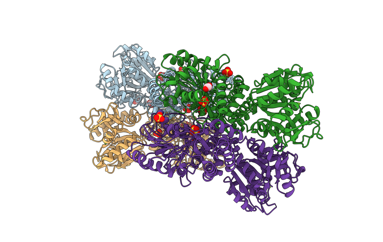6PD1 image