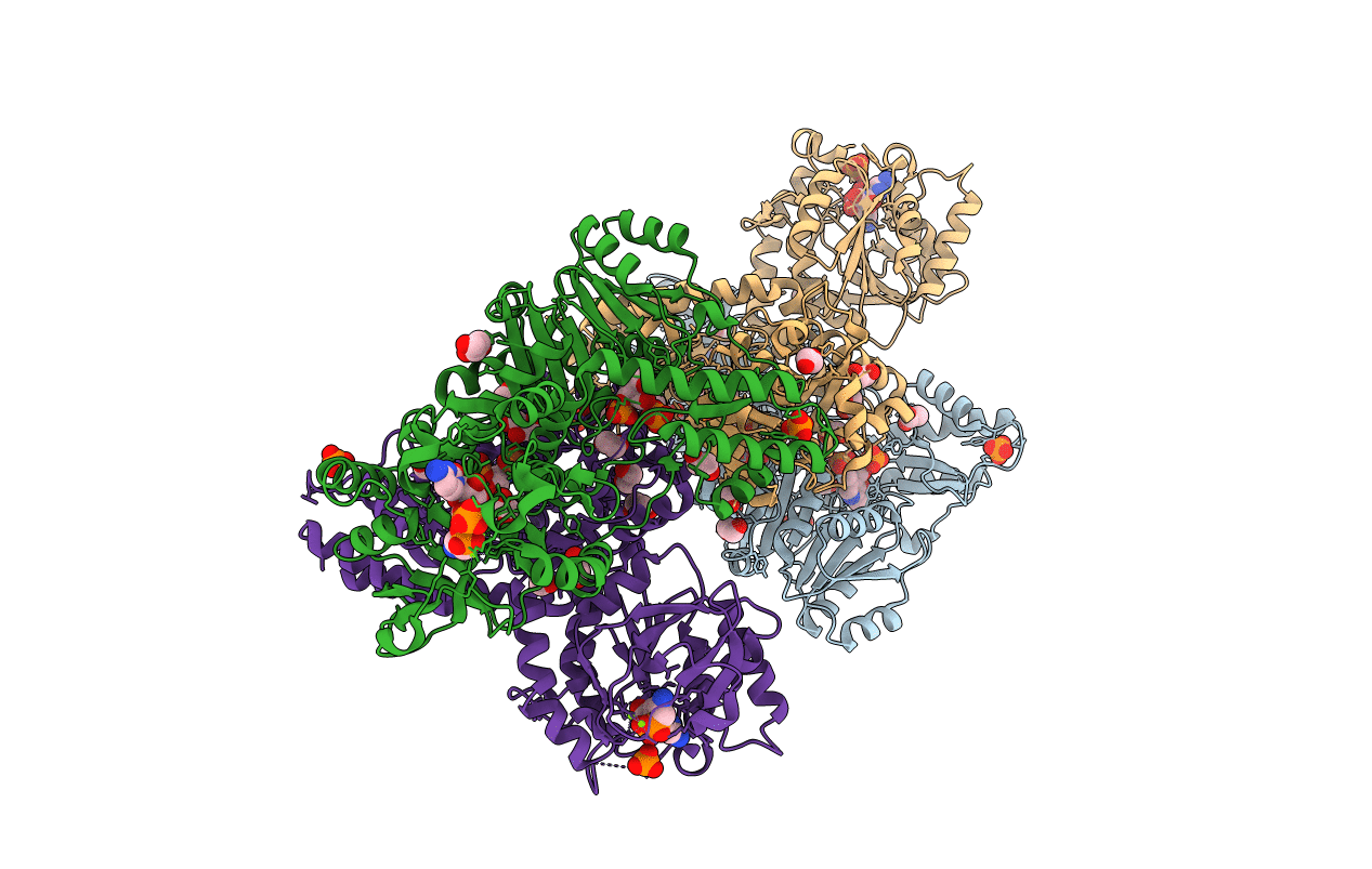 6PD2 image