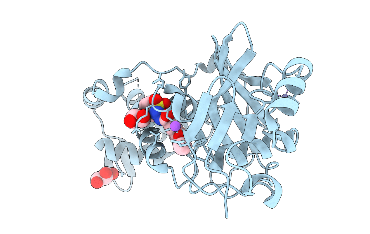 6PD8 image