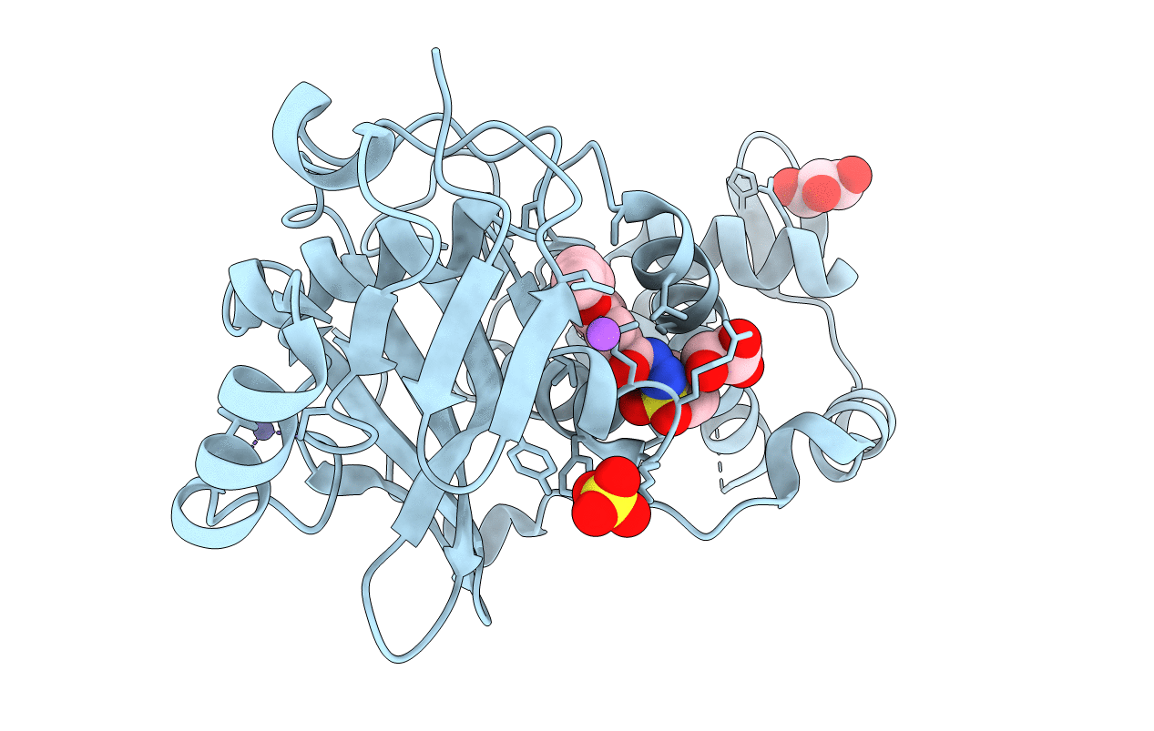 6PDC image