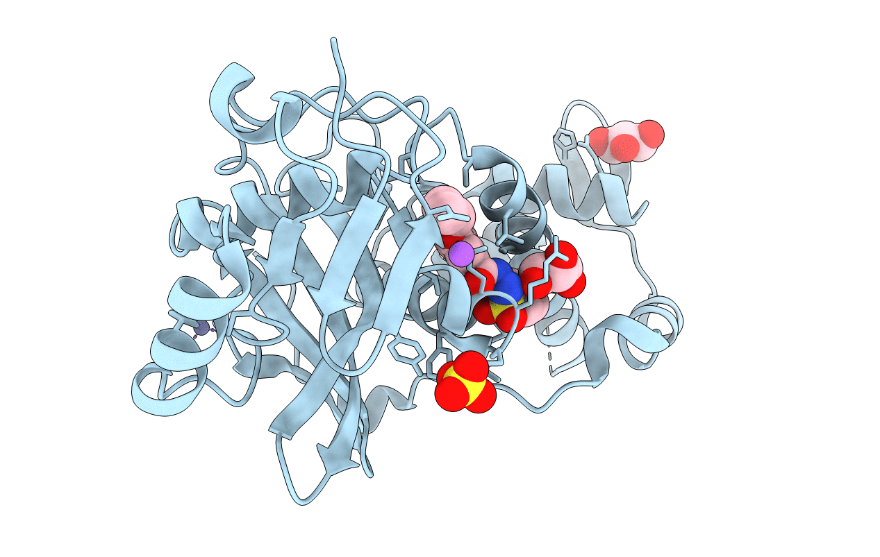 6PDD image