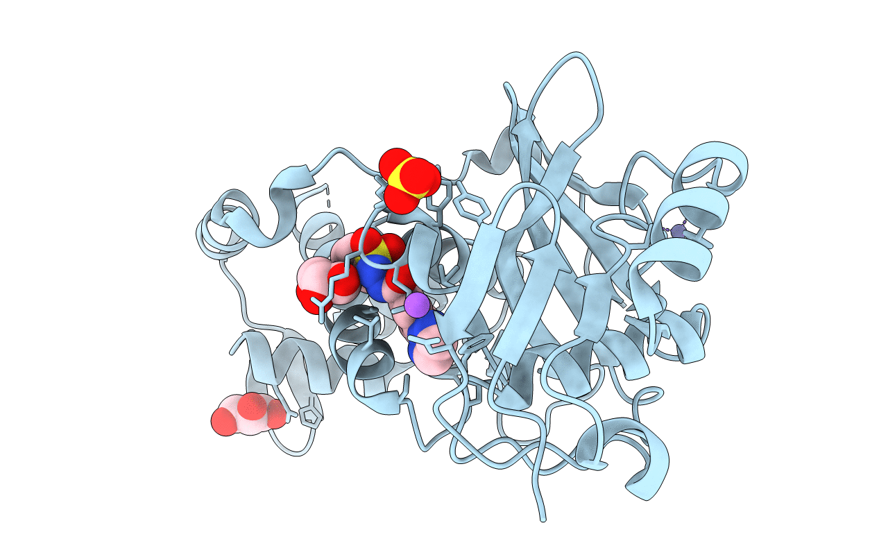 6PDF image