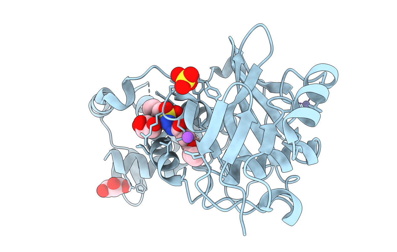 6PDG image