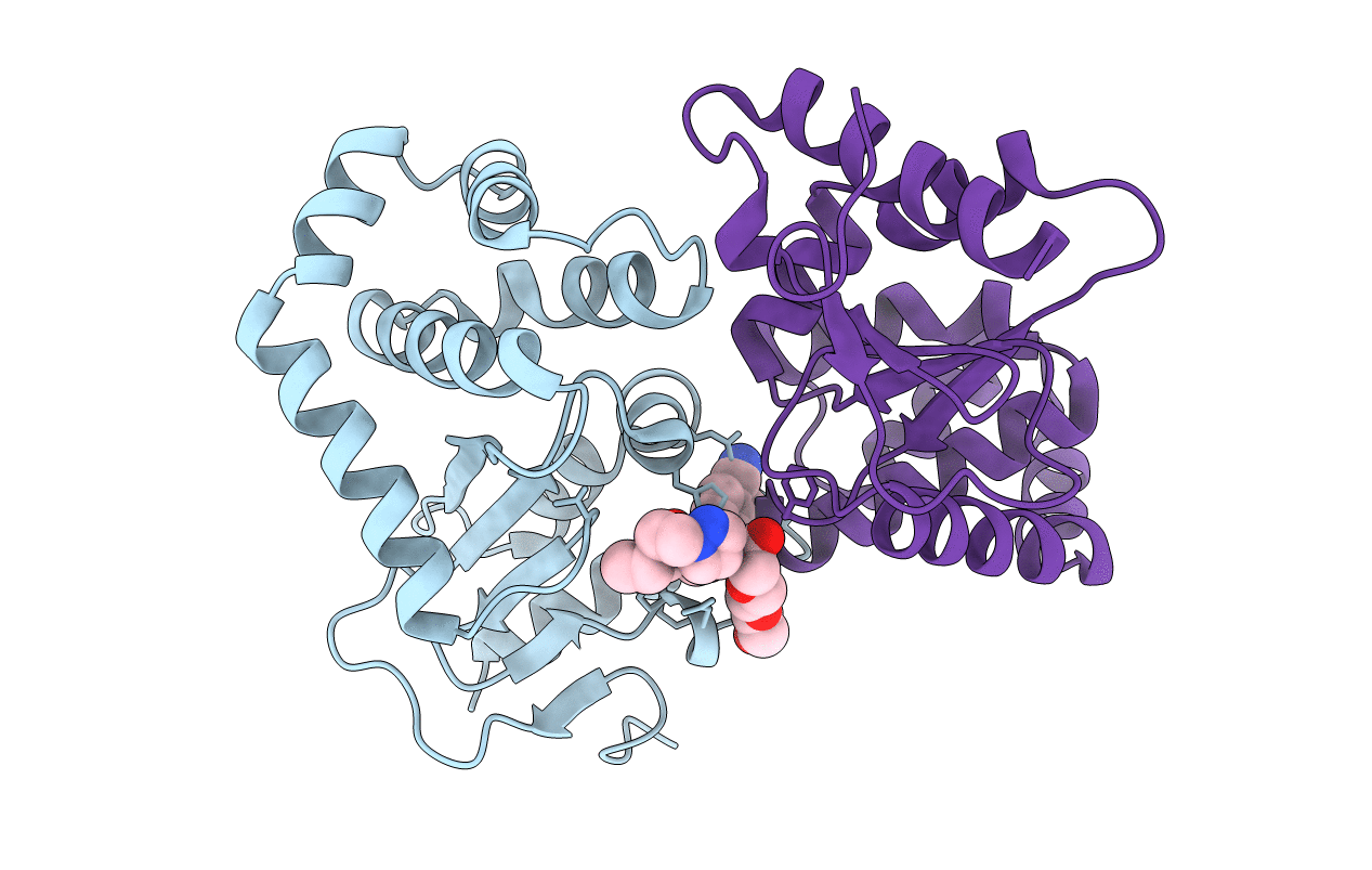 6PDH image