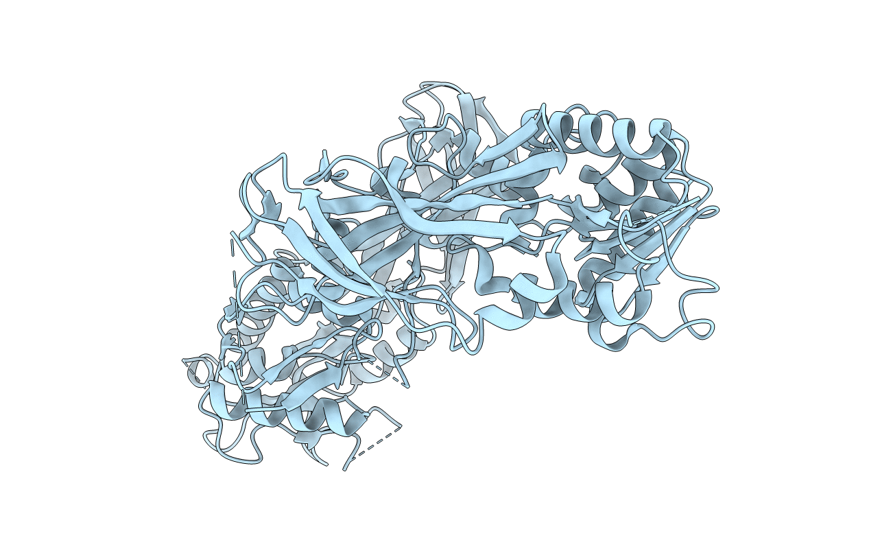 6PDM image