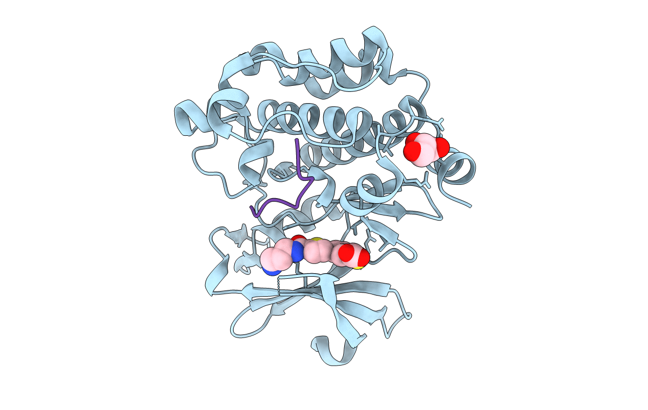 6PDN image