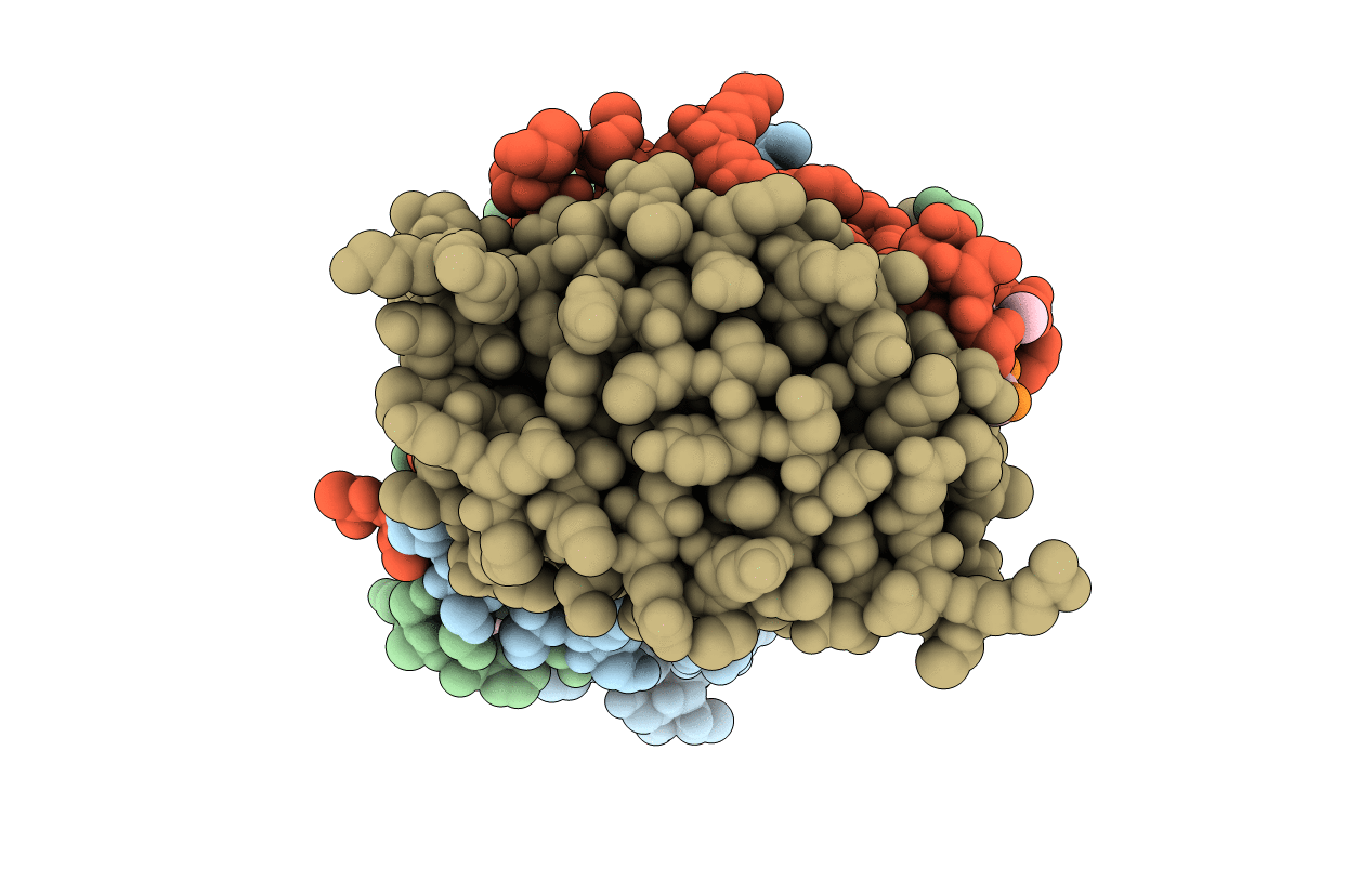 6PDQ image
