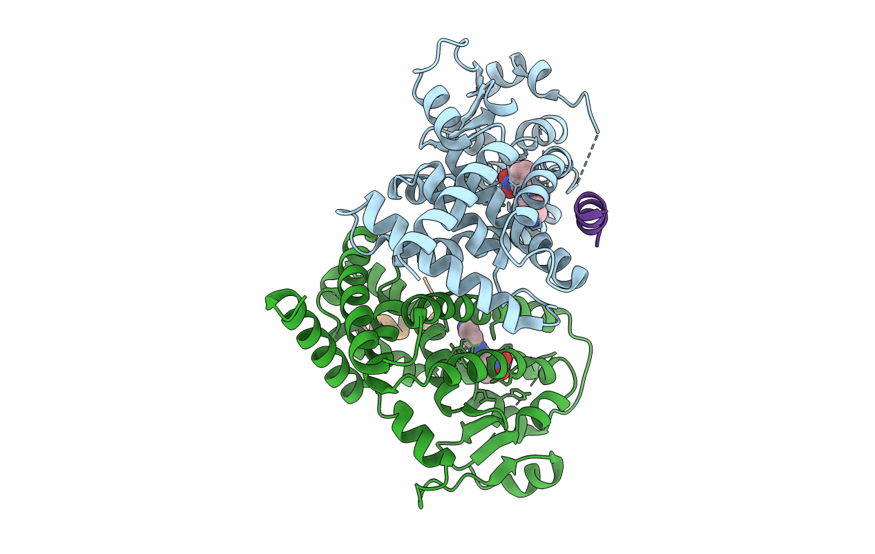 6PDZ image