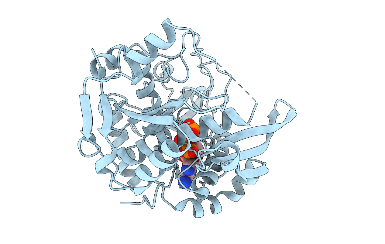 6PE3 image
