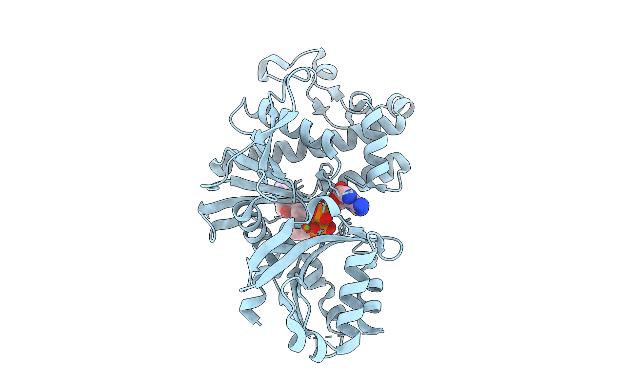 6PE6 image