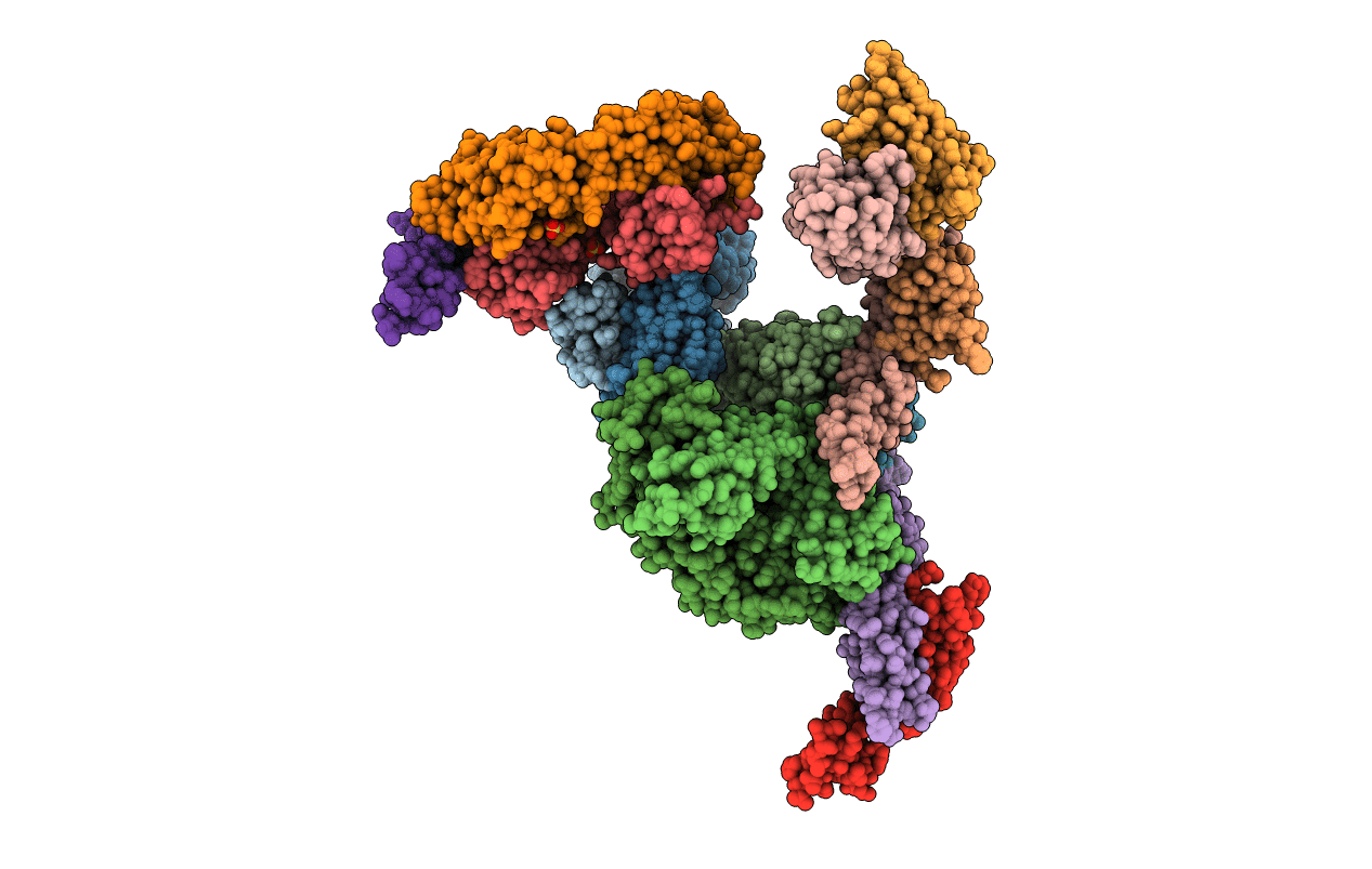6PE9 image