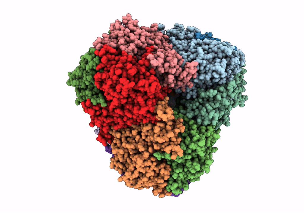 6PEV image