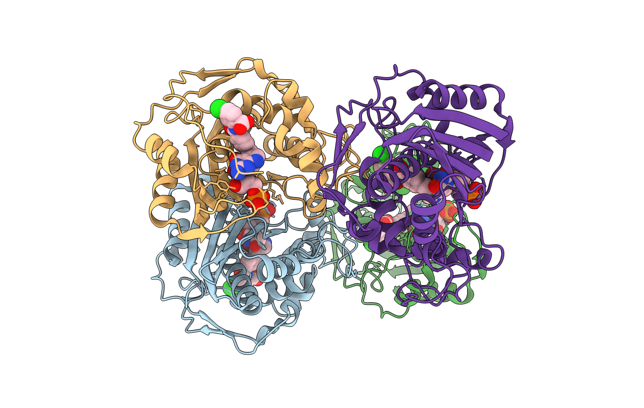 6PF3 image