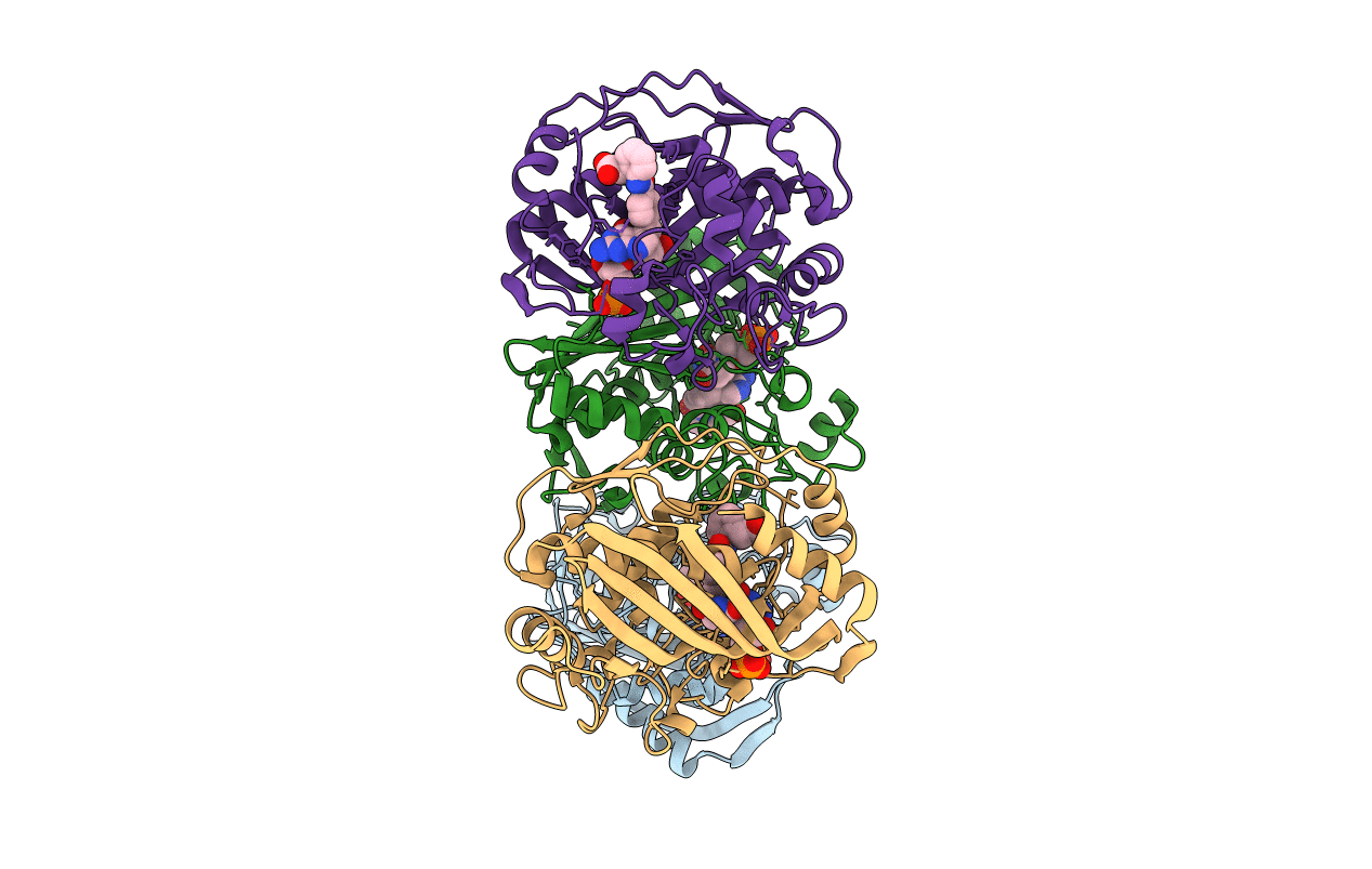 6PF4 image