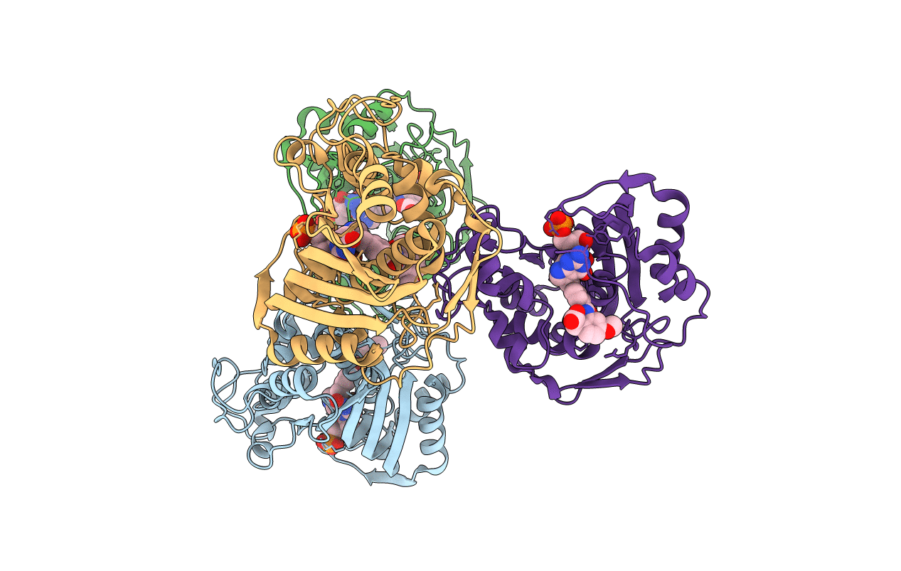 6PF5 image