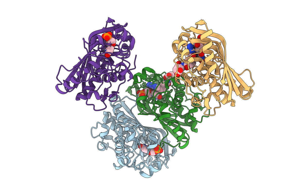 6PF6 image