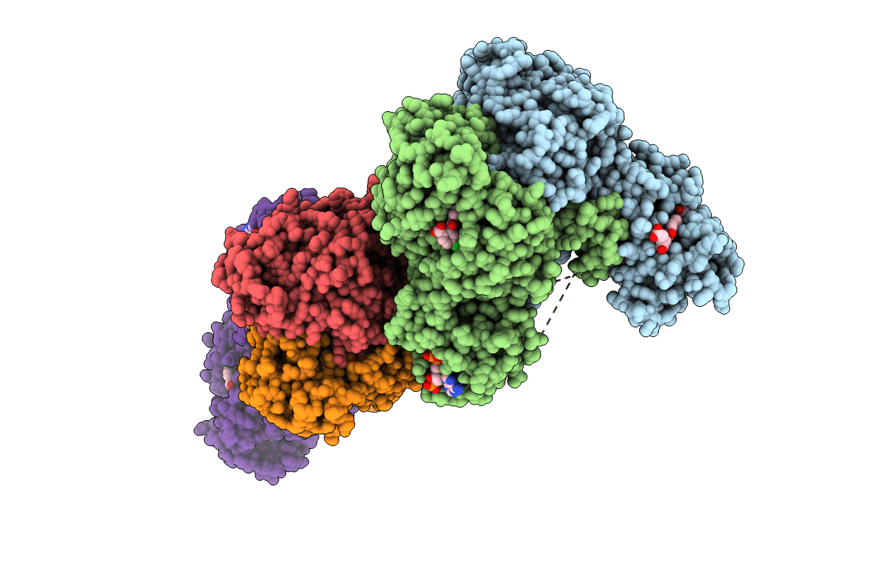 6PF8 image