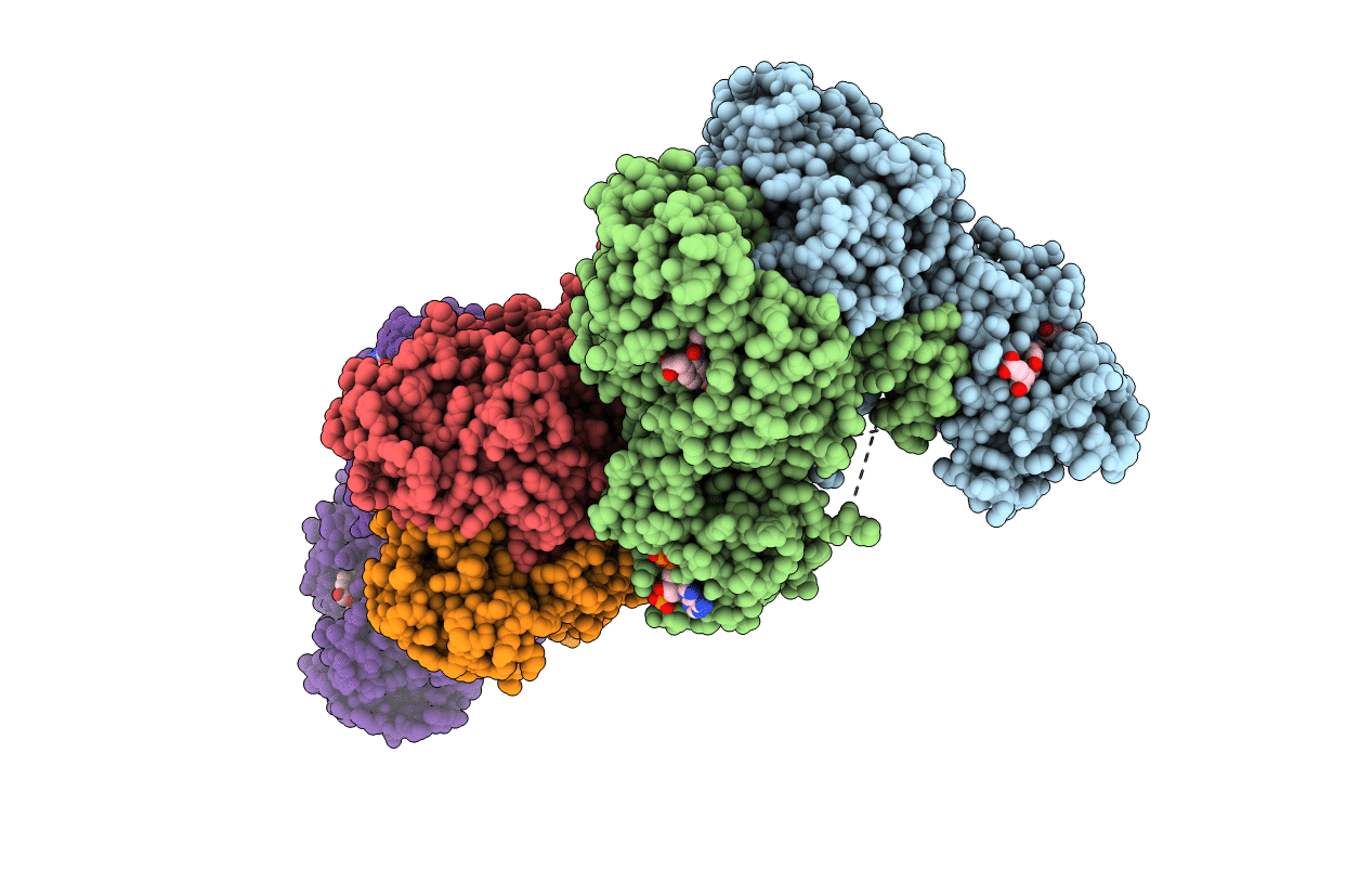 6PFI image