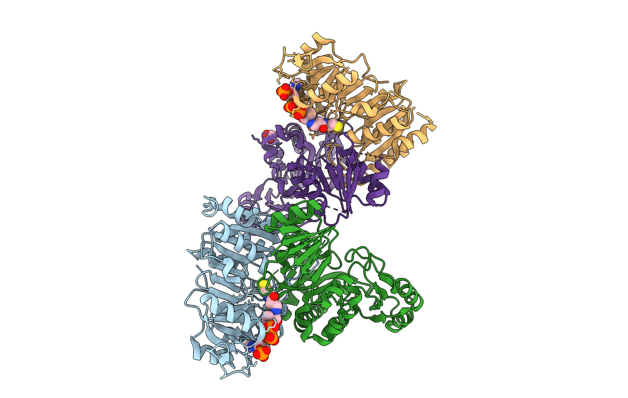 6PFN image