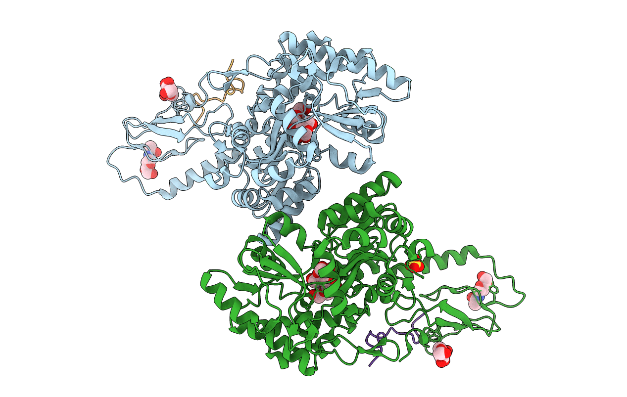 6PFO image