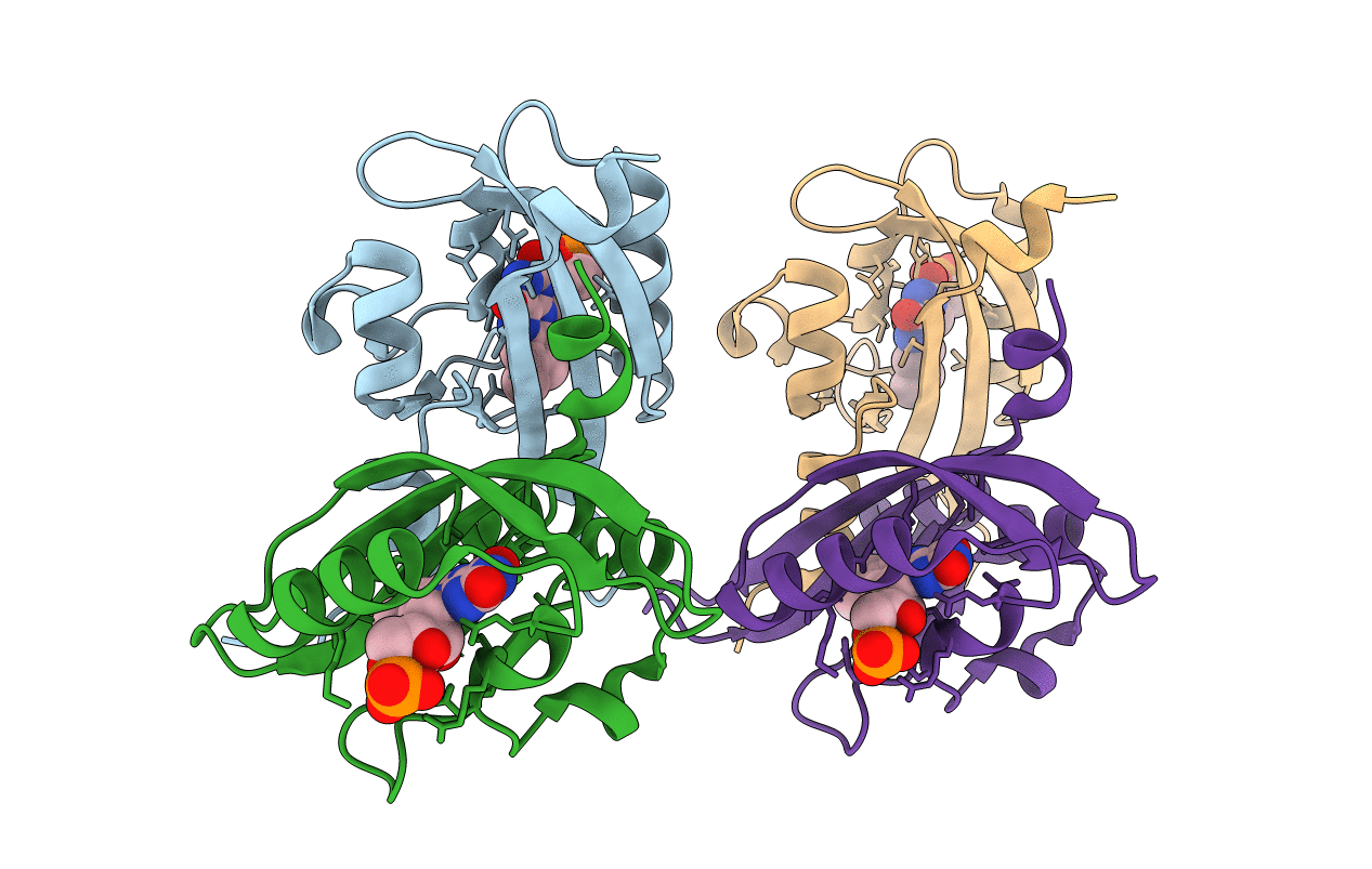 6PH2 image