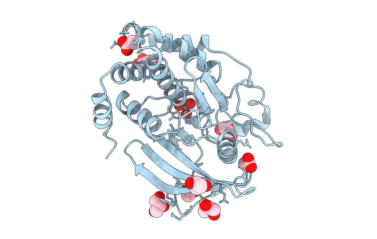 6PHA image