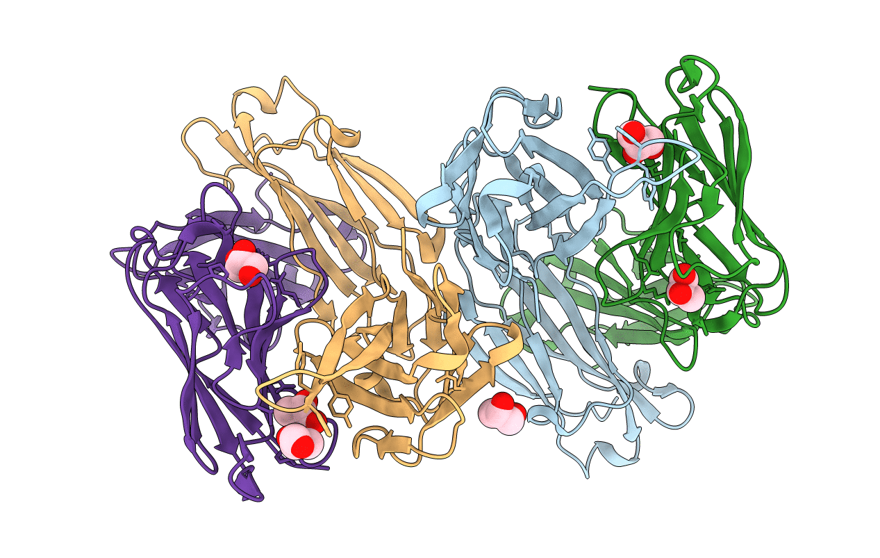 6PHH image