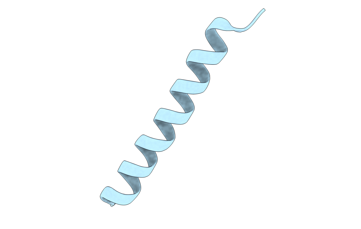6PHI image