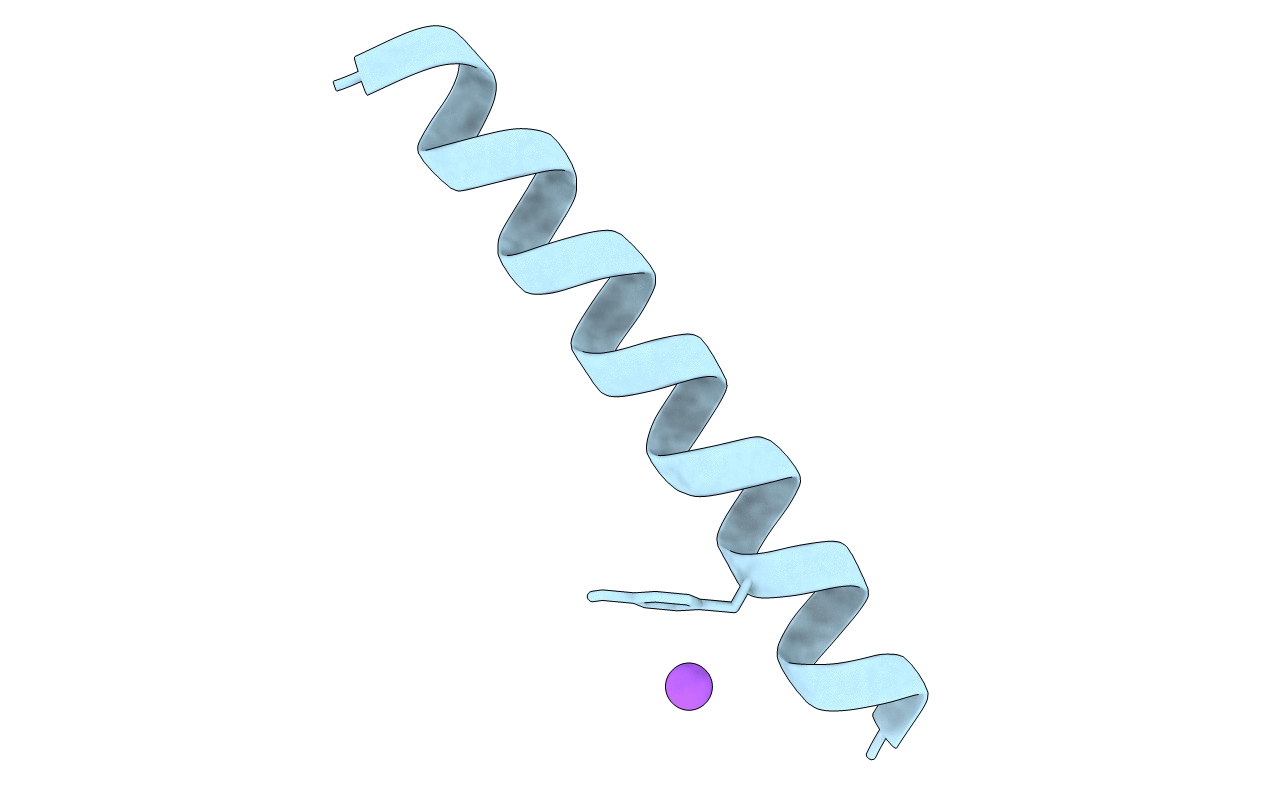 6PHN image