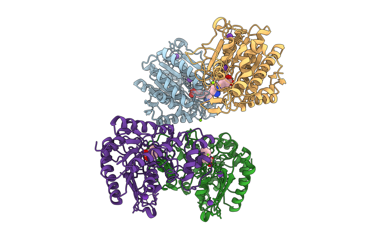 6PHT image