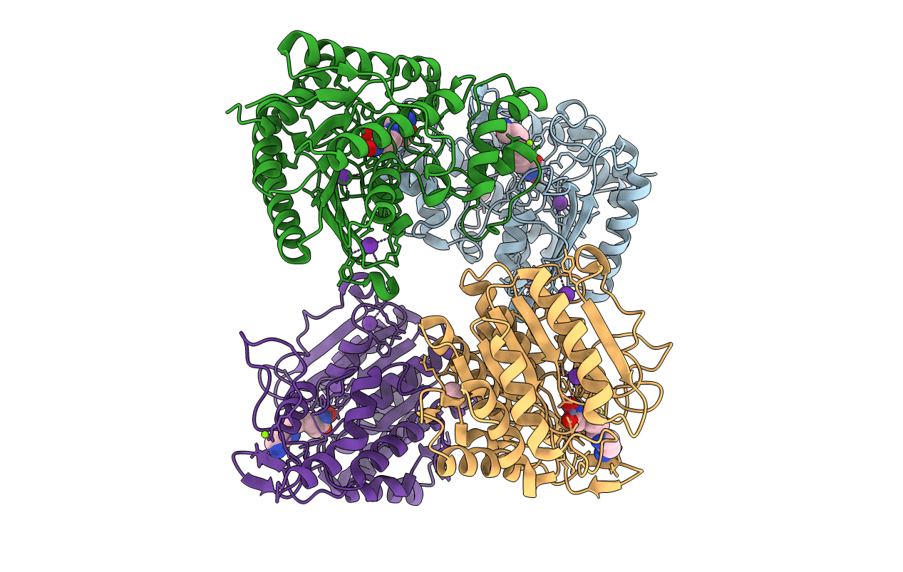 6PIA image