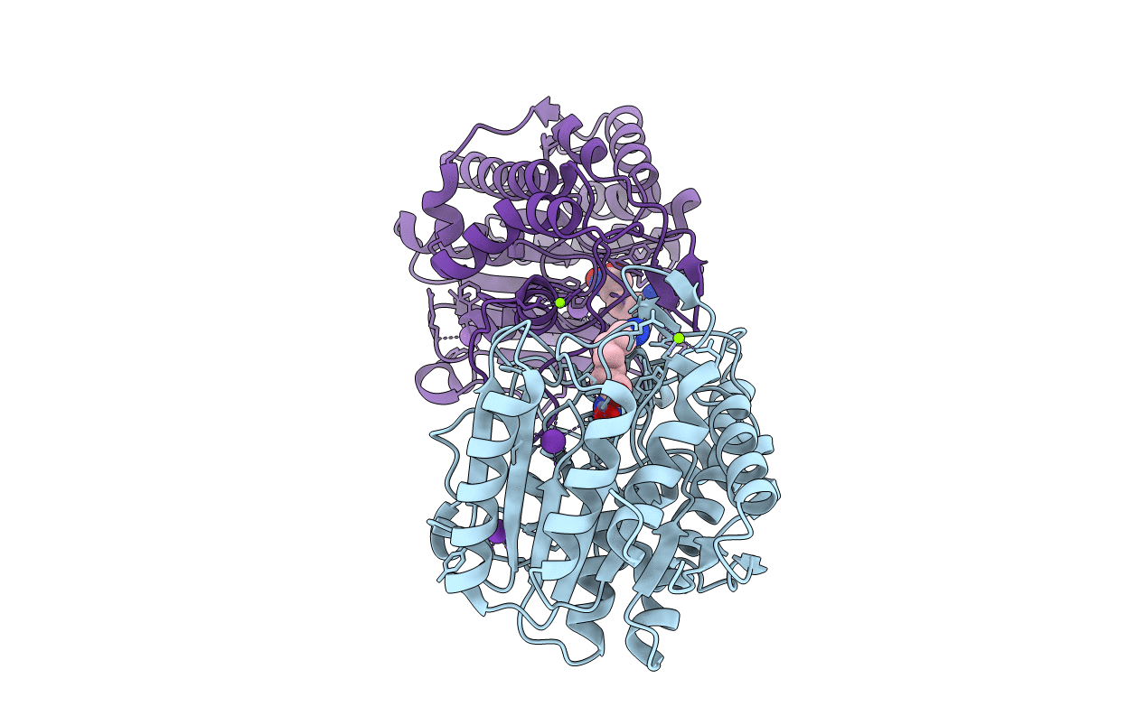 6PID image
