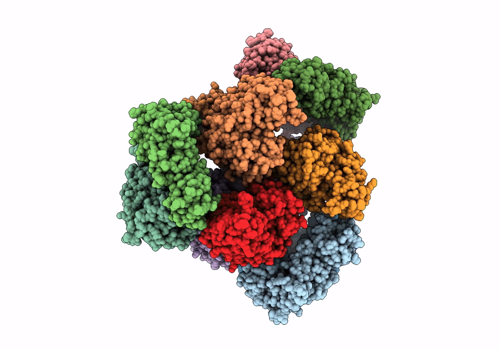 6PIH image