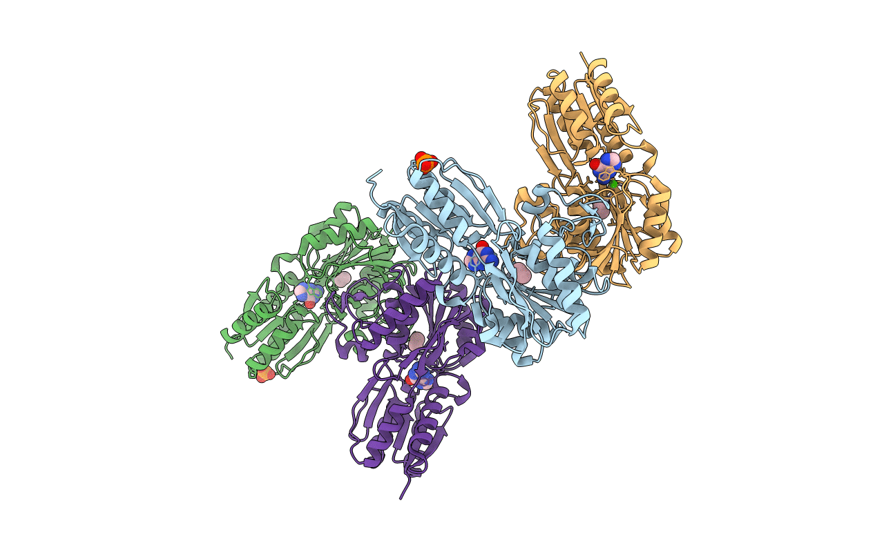 6PII image