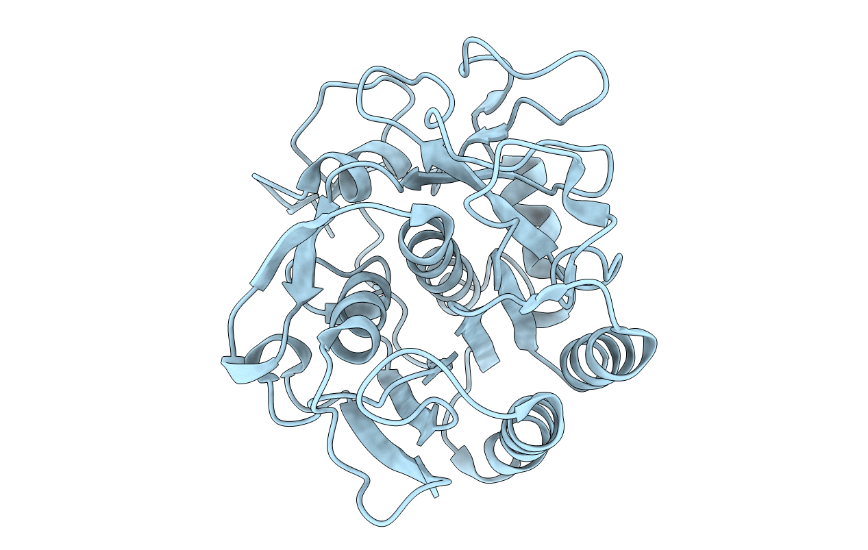 6PKL image
