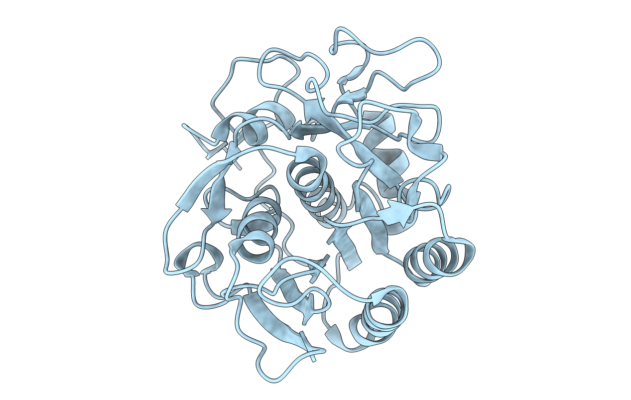 6PKP image
