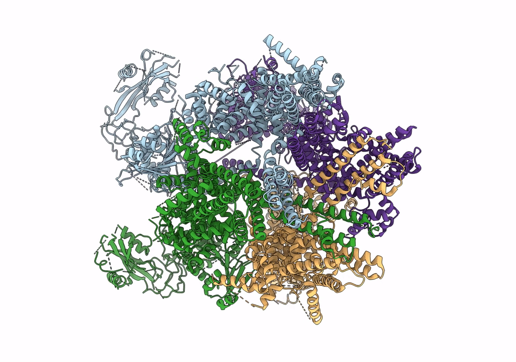 6PKV image