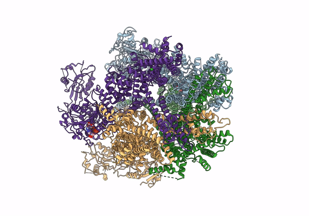 6PKX image