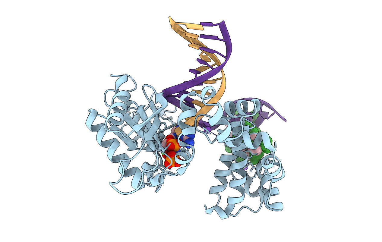 6PKZ image