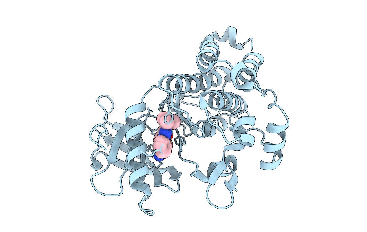 6PL2 image