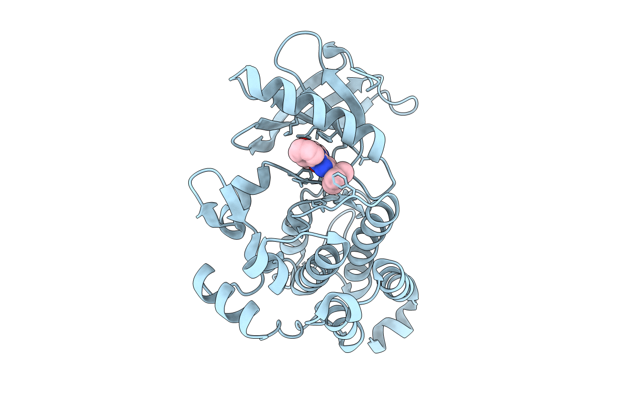 6PL3 image