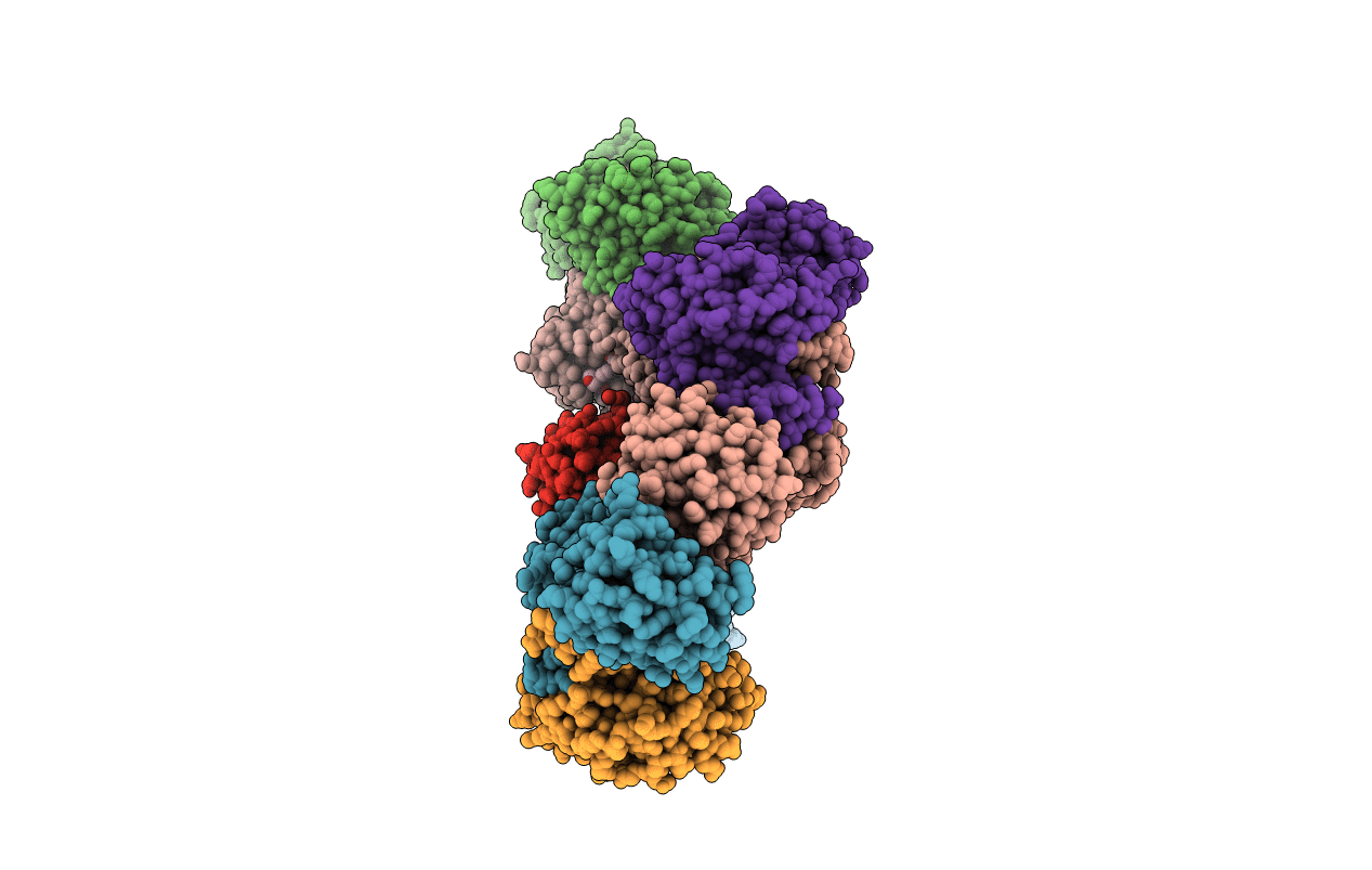 6PLG image