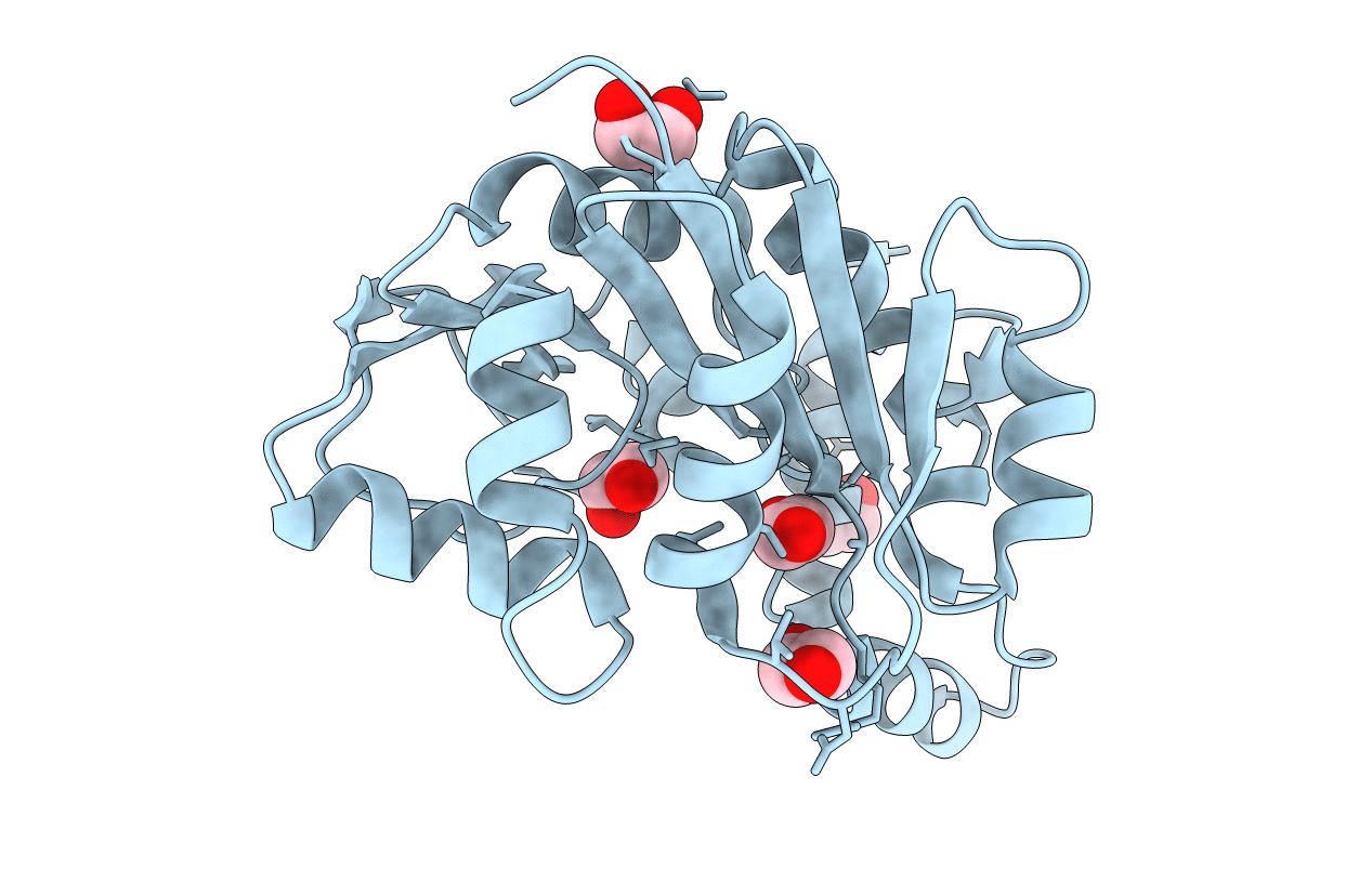 6PLJ image